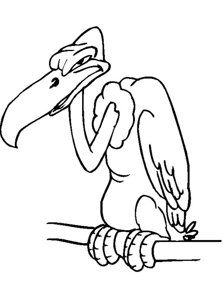 Angry Vulture Coloring Pages