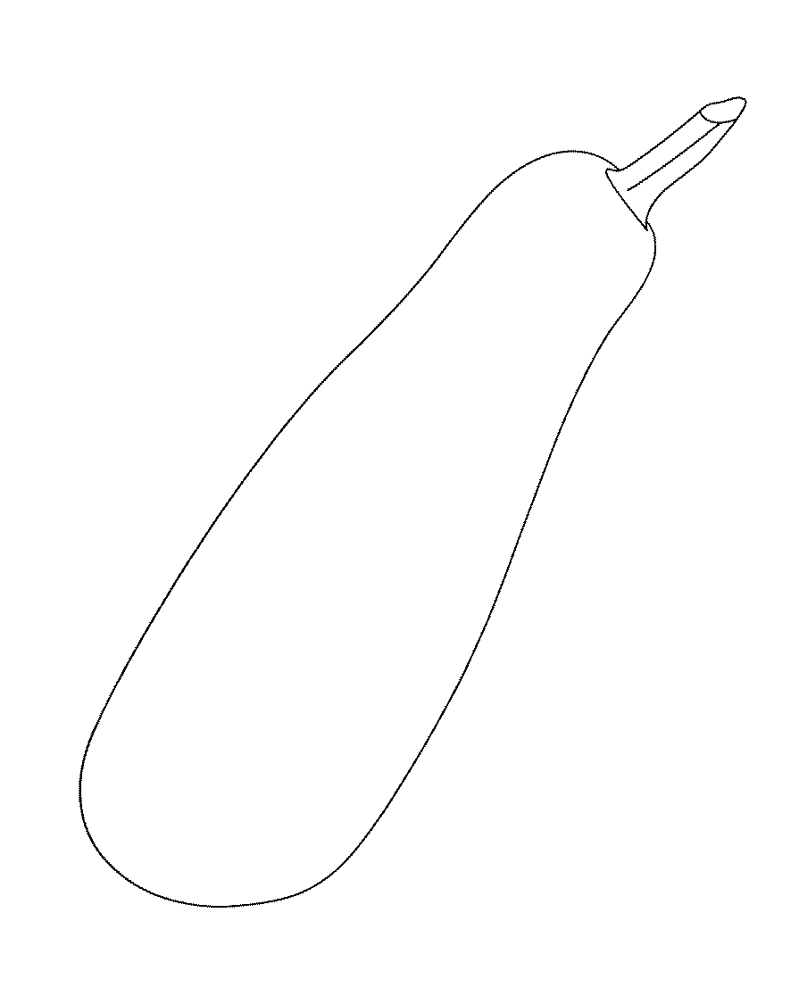 Blank Zucchini Coloring Page