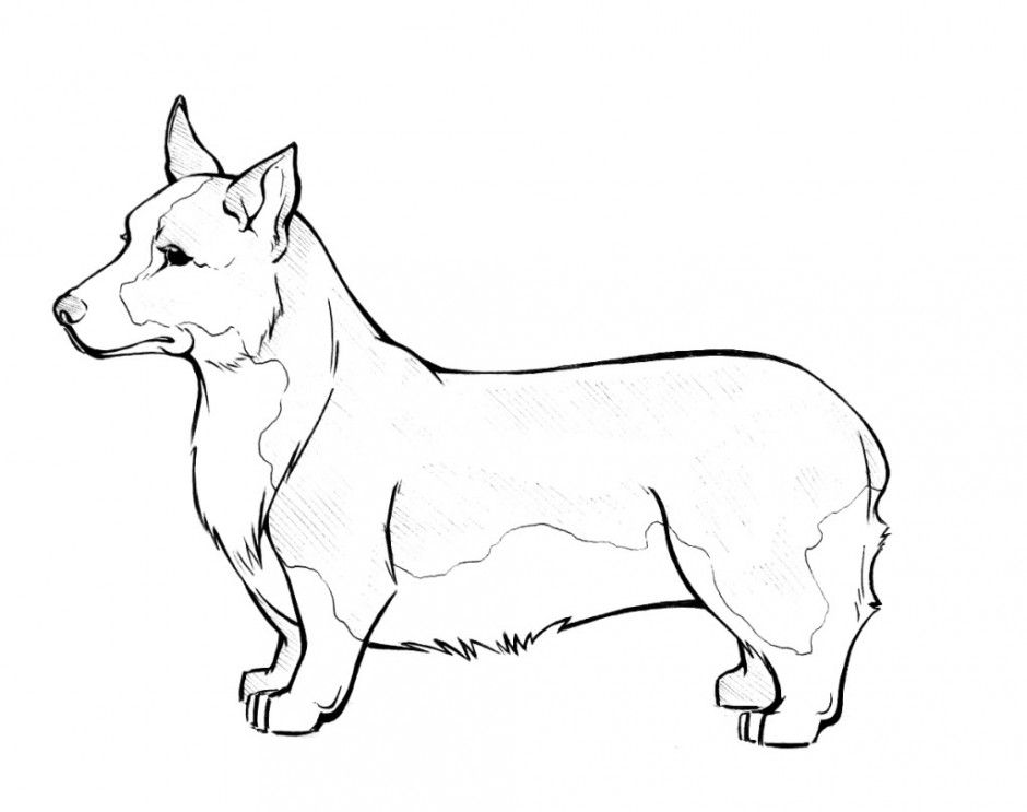 Corgi Coloring Pages Best Coloring Pages For Kids