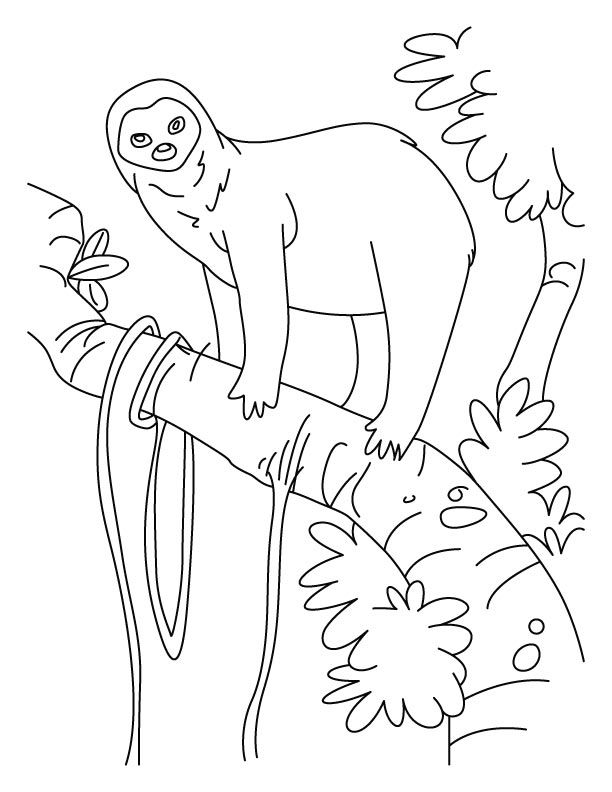 Free Printable Sloth Coloring Pages! ⋆ The Hollydog Blog