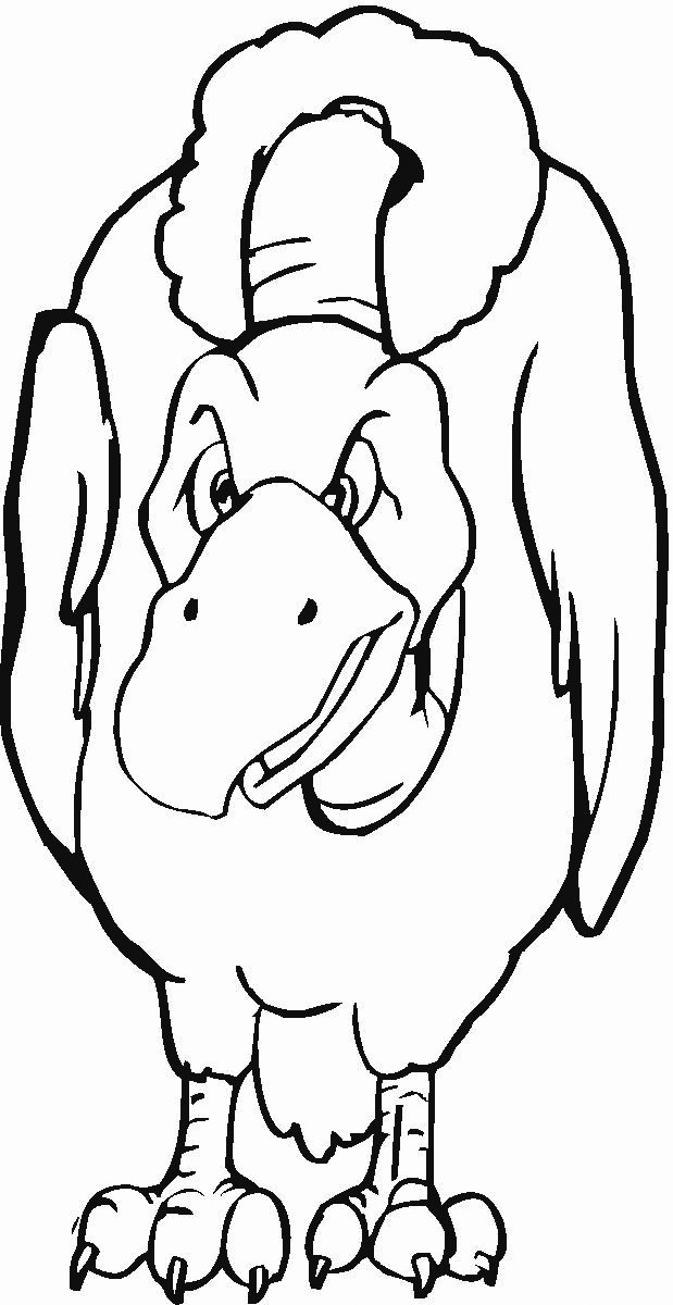 Vulture Coloring Pages