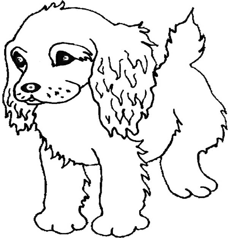 Cocker Spaniel Coloring Pages