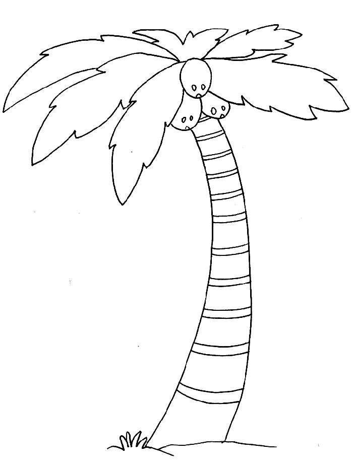 Coconut Tree Coloring Pages