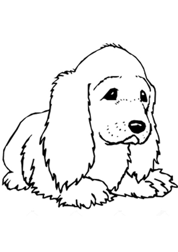 Cute Cocker Spaniel Coloring Pages