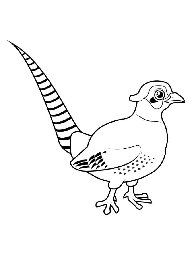Cute Pheasant Coloring Pages