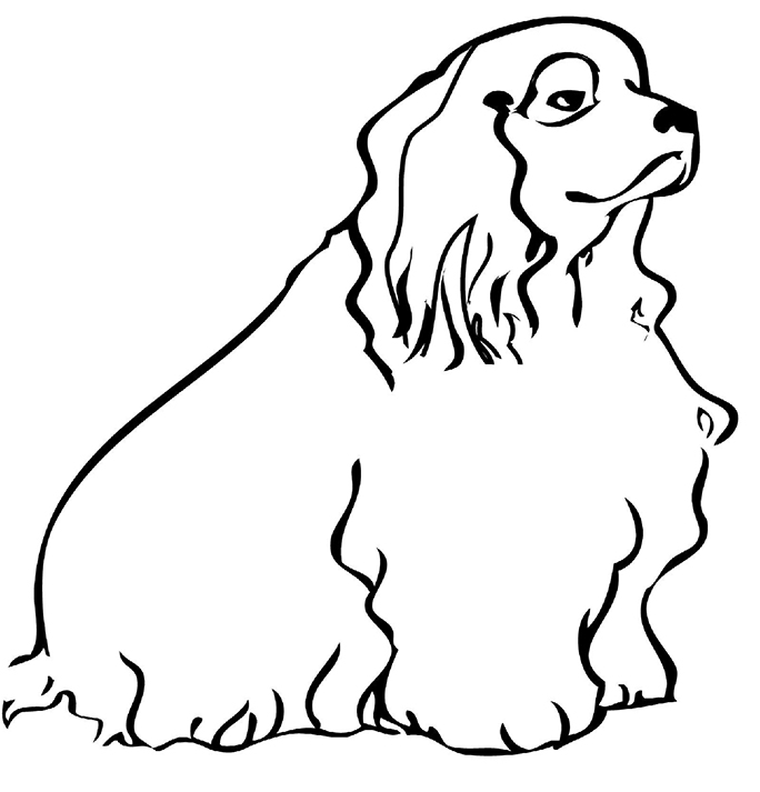 Easy Cocker Spaniel Coloring Pages