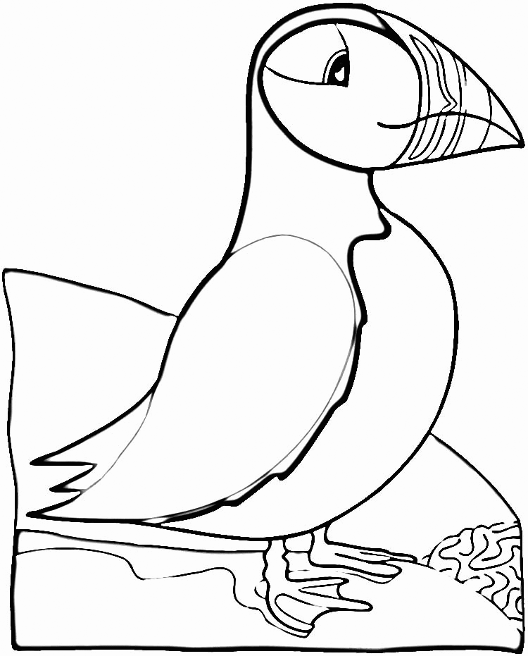 coloring pages for kids iceland