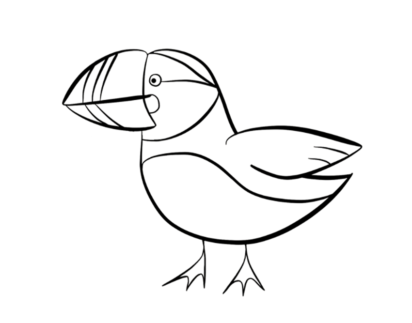 Puffin Coloring Pages