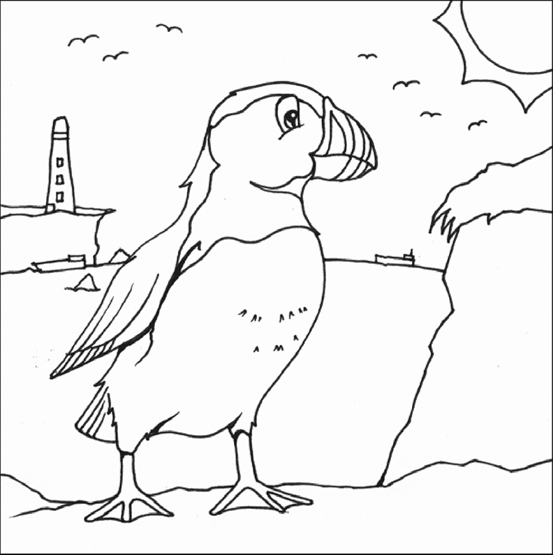Puffin At The Sea Coloring Pages