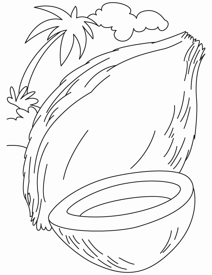 Tropical Coconut Coloring Pages