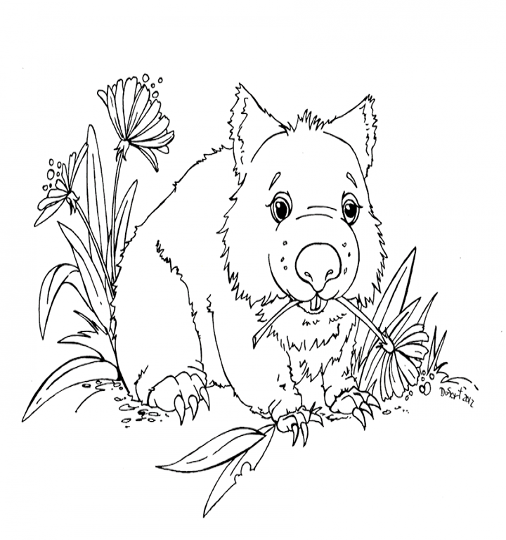 Wombat Coloring Pages