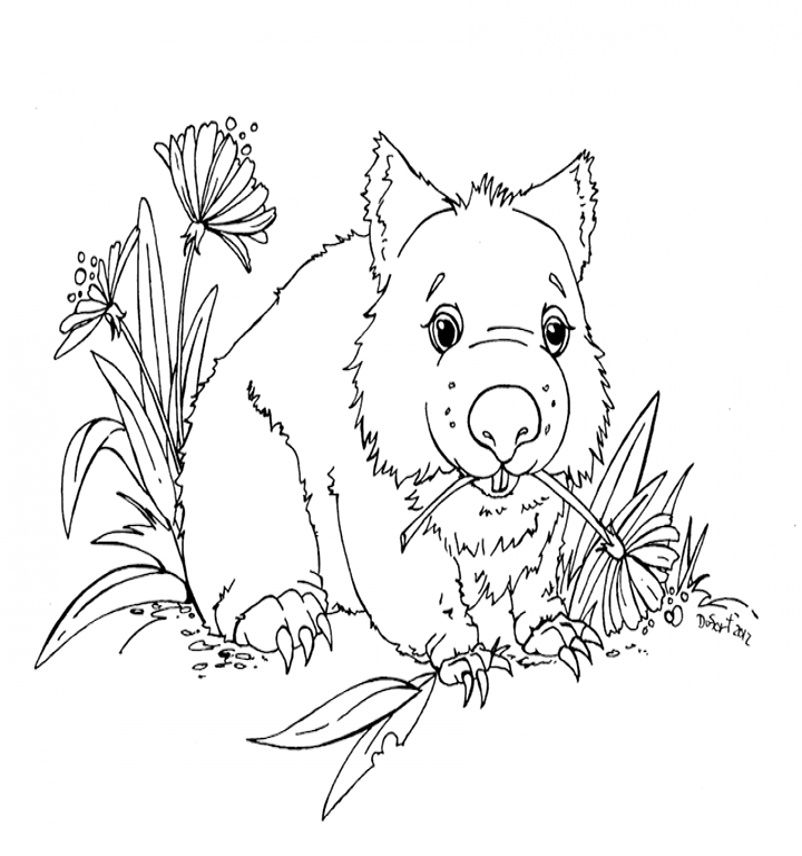 Australian Animals Coloring Pages - Best Coloring Pages For Kids