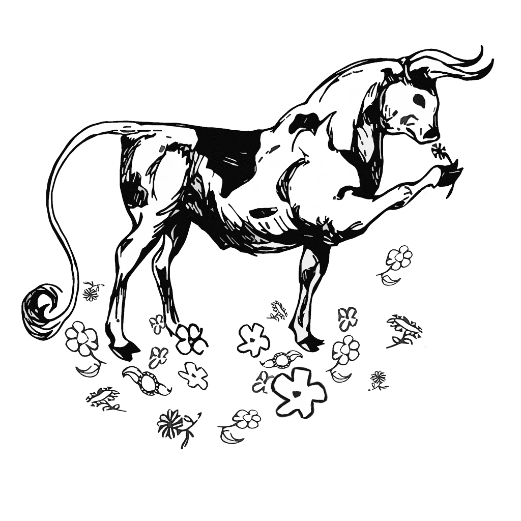 Bull Coloring Page