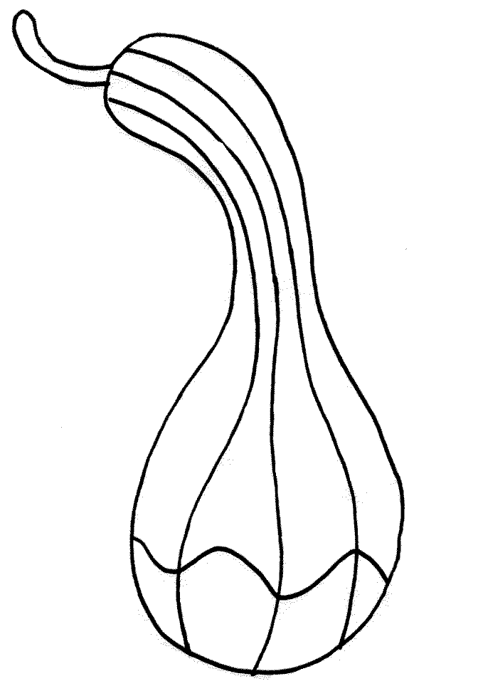 Butternut Squash Coloring Page