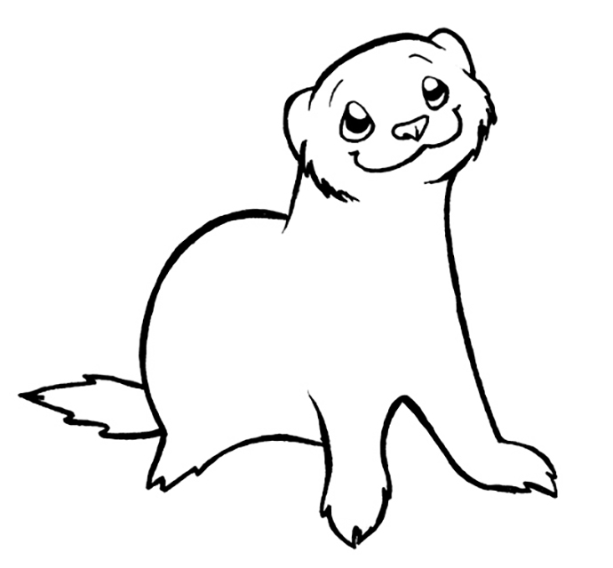 Cute Smiliing Ferret Coloring Pages