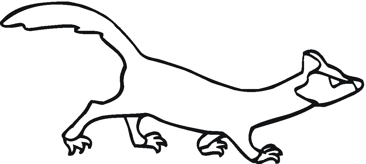 Ferret Walking Coloring Page