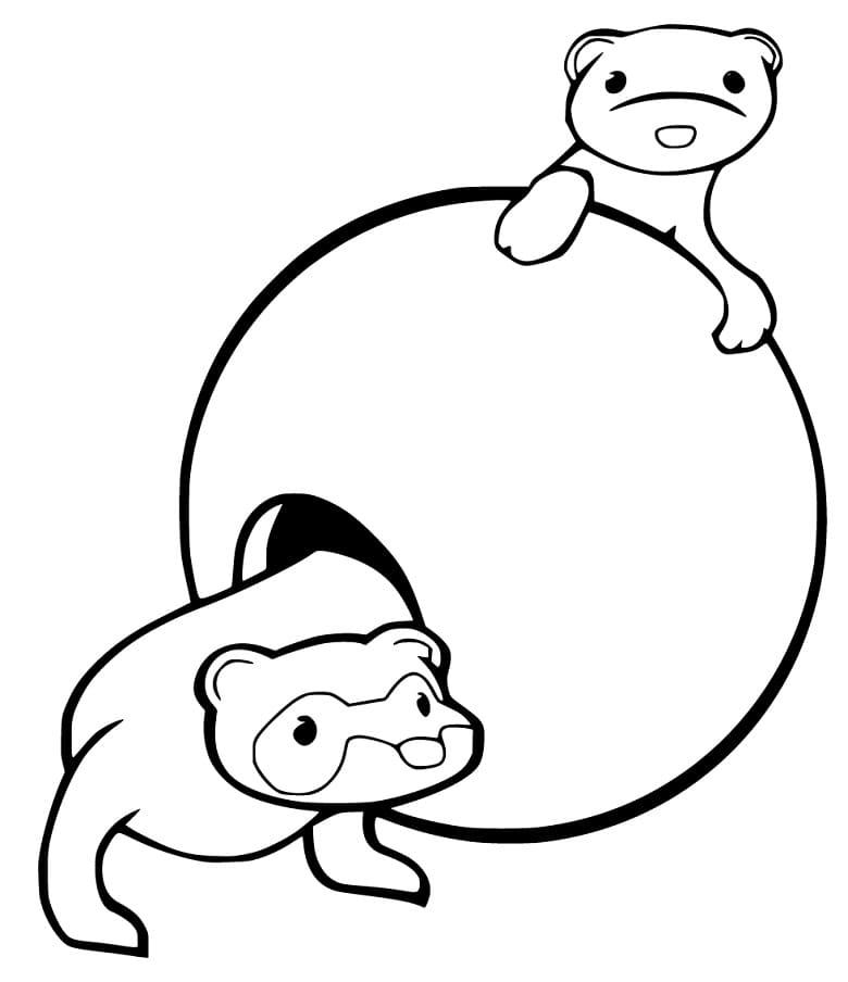 Ferrets In A Ball Coloring Pages
