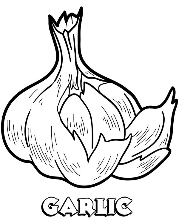 Garlic Coloring Sheet