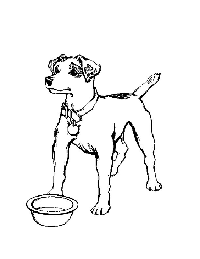Jack Russell At Food Bowl Coloring Page