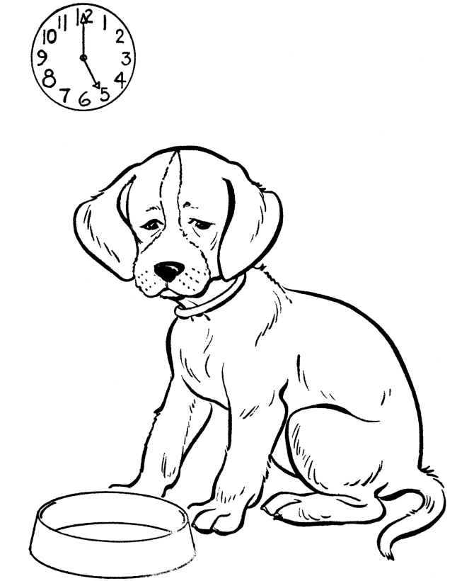 Jack Russell With Water Bowl Coloring Page