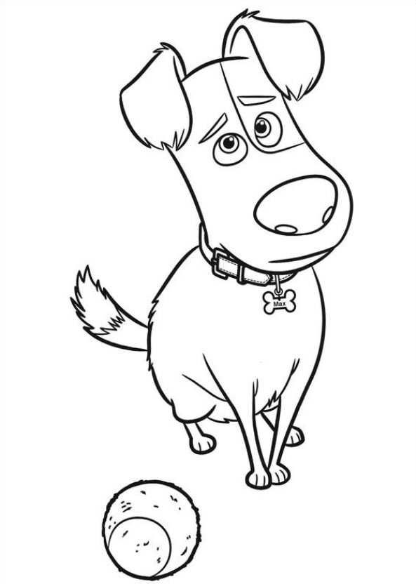 Max Secret Life Of Pets Coloring Page