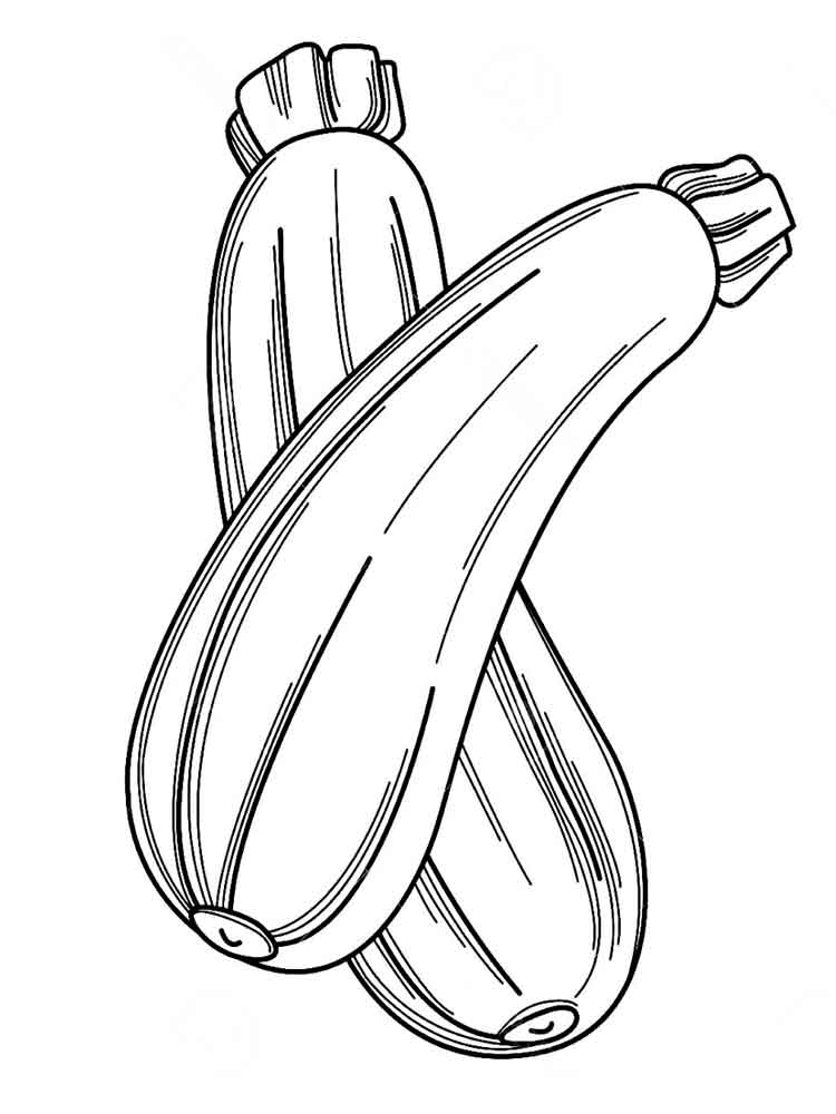 Zucchini Coloring Page