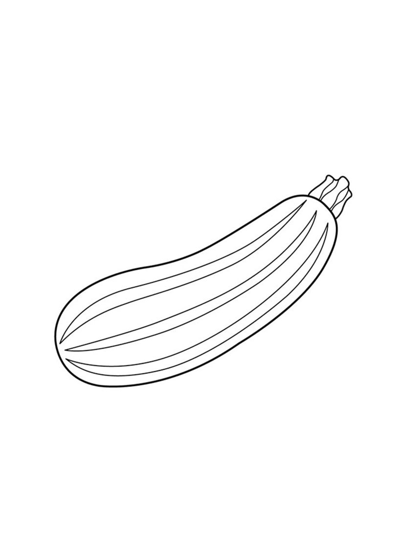 Zucchini Squash Vegetable Coloring Page