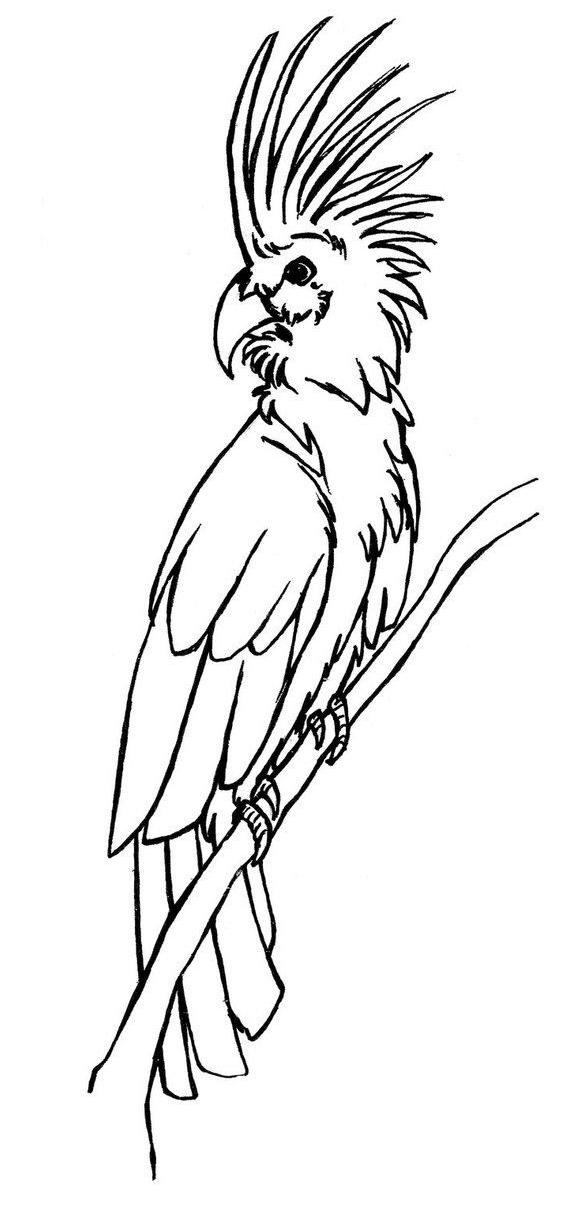 Cockatoo On A Perch Coloring Page