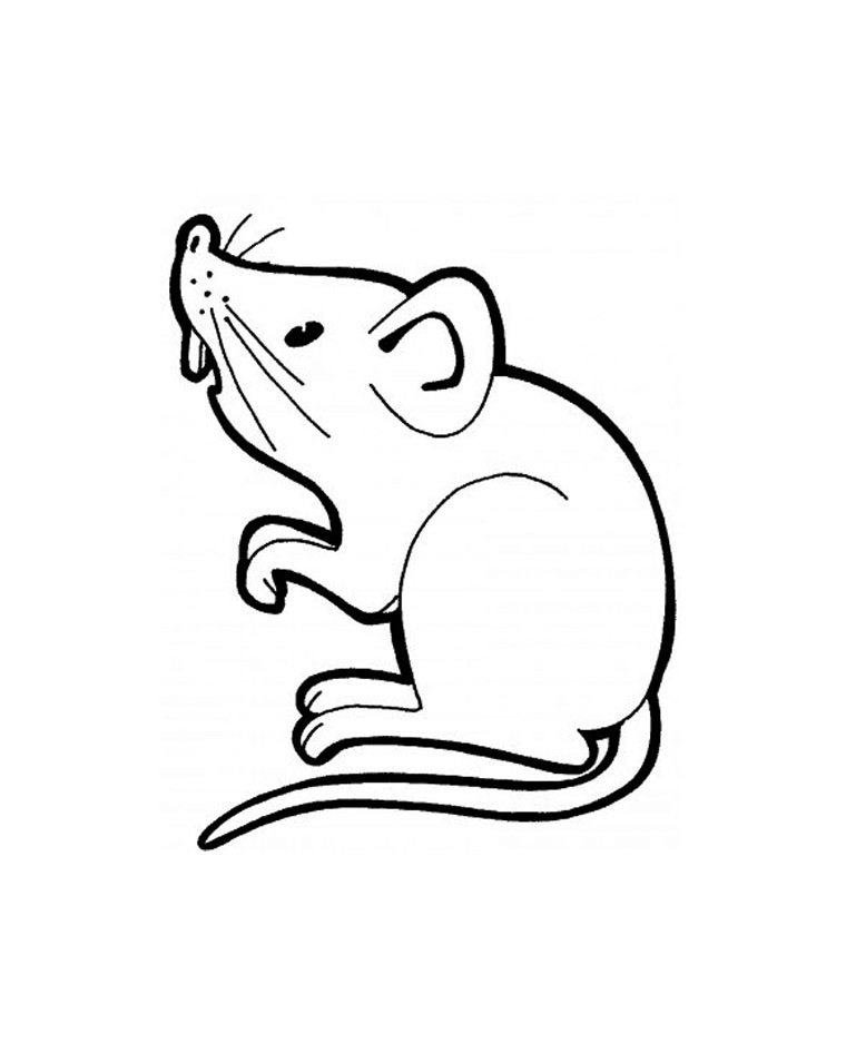 Cute Mouse Coloring Page