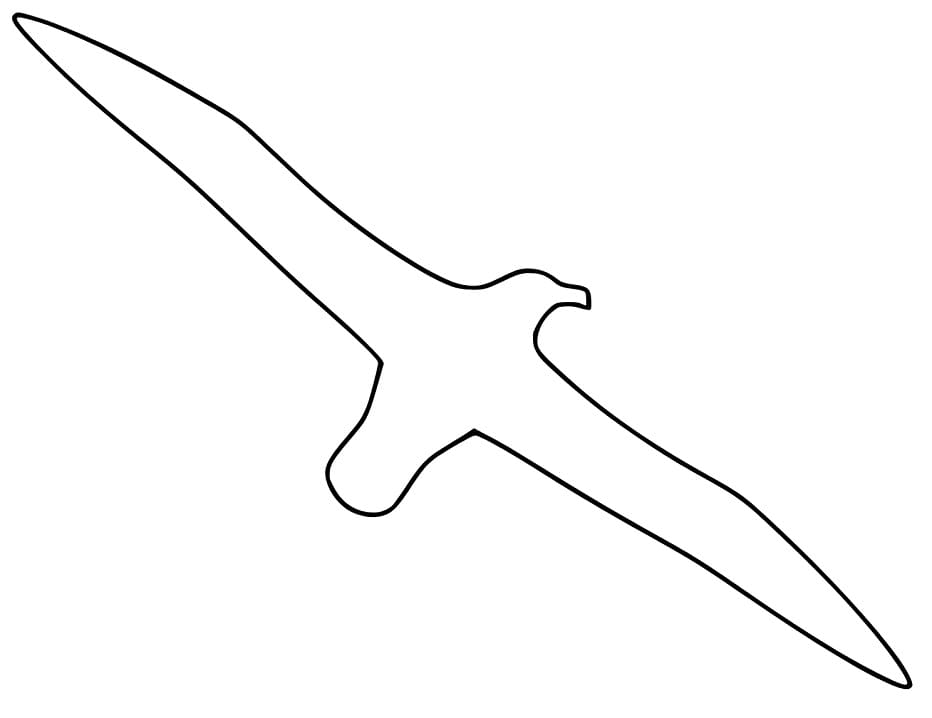 Easy Albatross Coloring Pages