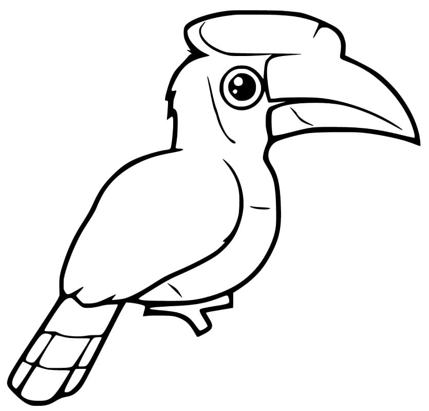 Easy Hornbill Coloring Page