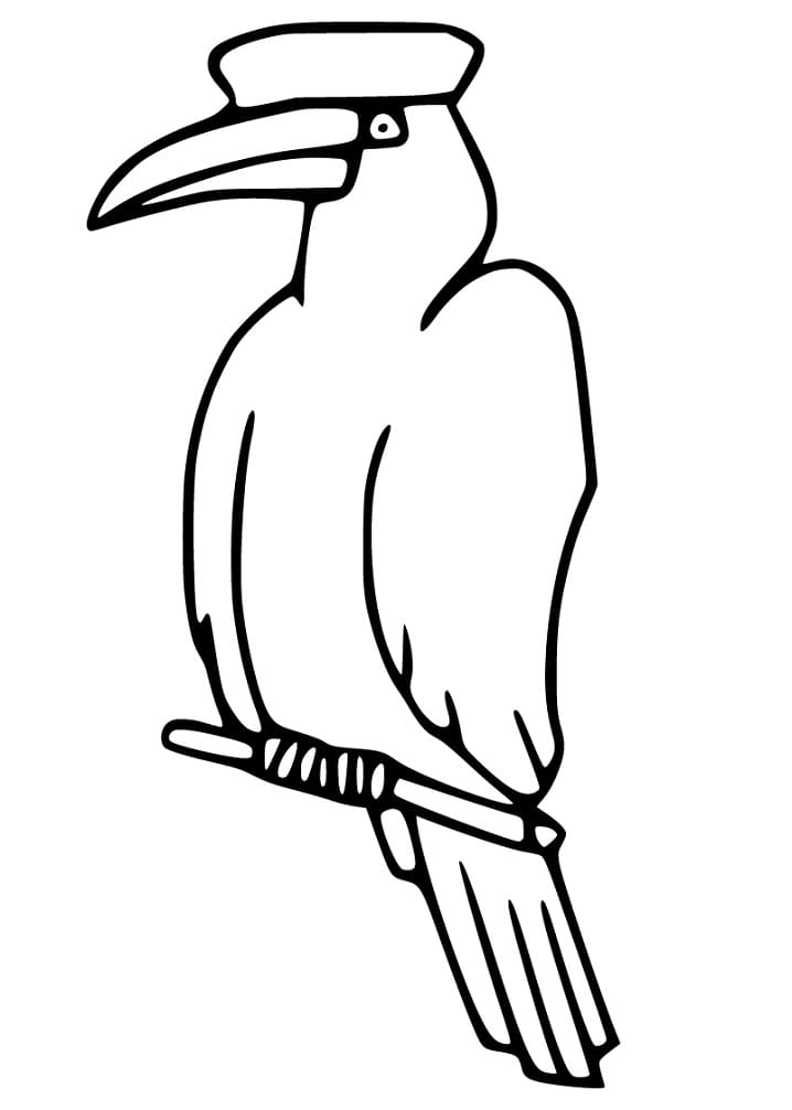 Hornbill Bird Printable Coloring Page