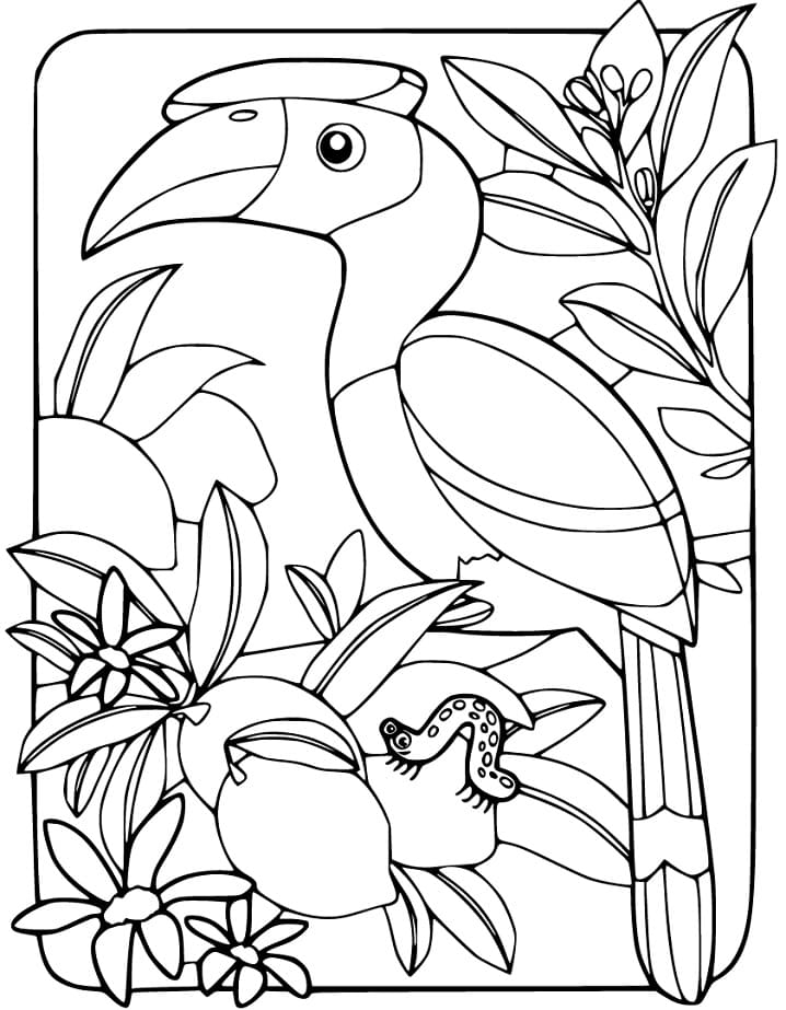 Hornbill Coloring Pages