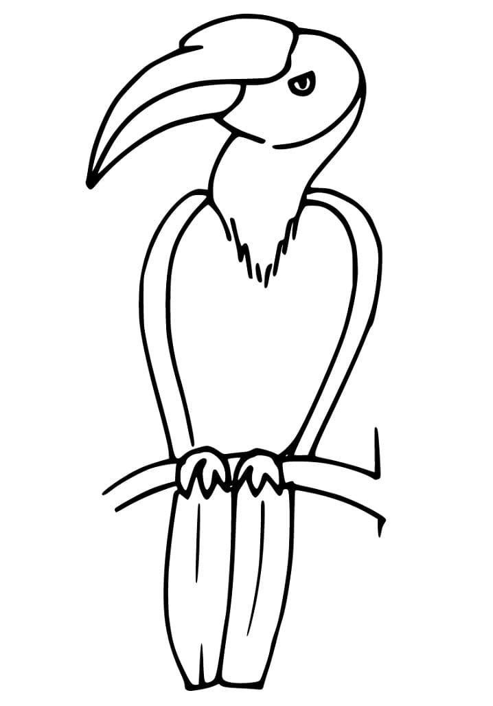 Hornbill Perching Coloring Page