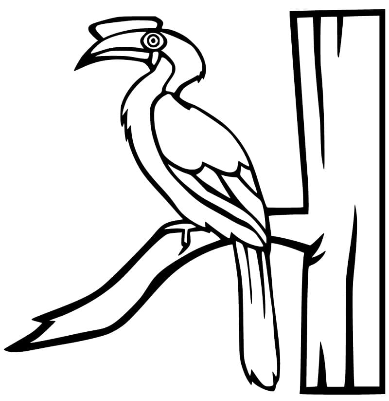 Hornbill On A Branch Coloring Page