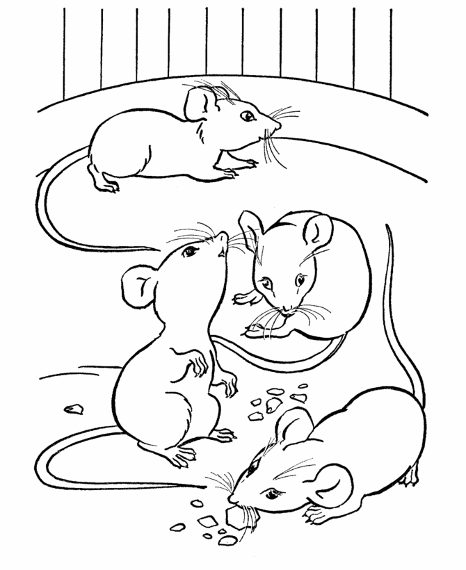 Mice Eating Coloring Page