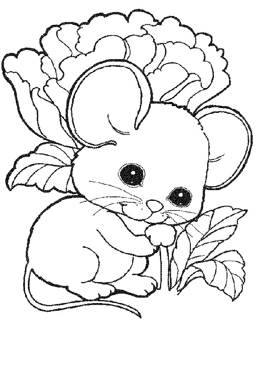 480 Collections Coloring Pages Cute Mice  HD