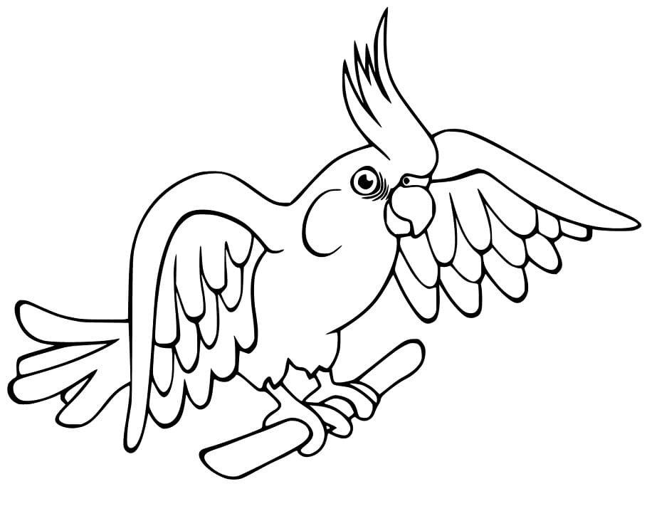 Perching Cockatoo Coloring Page