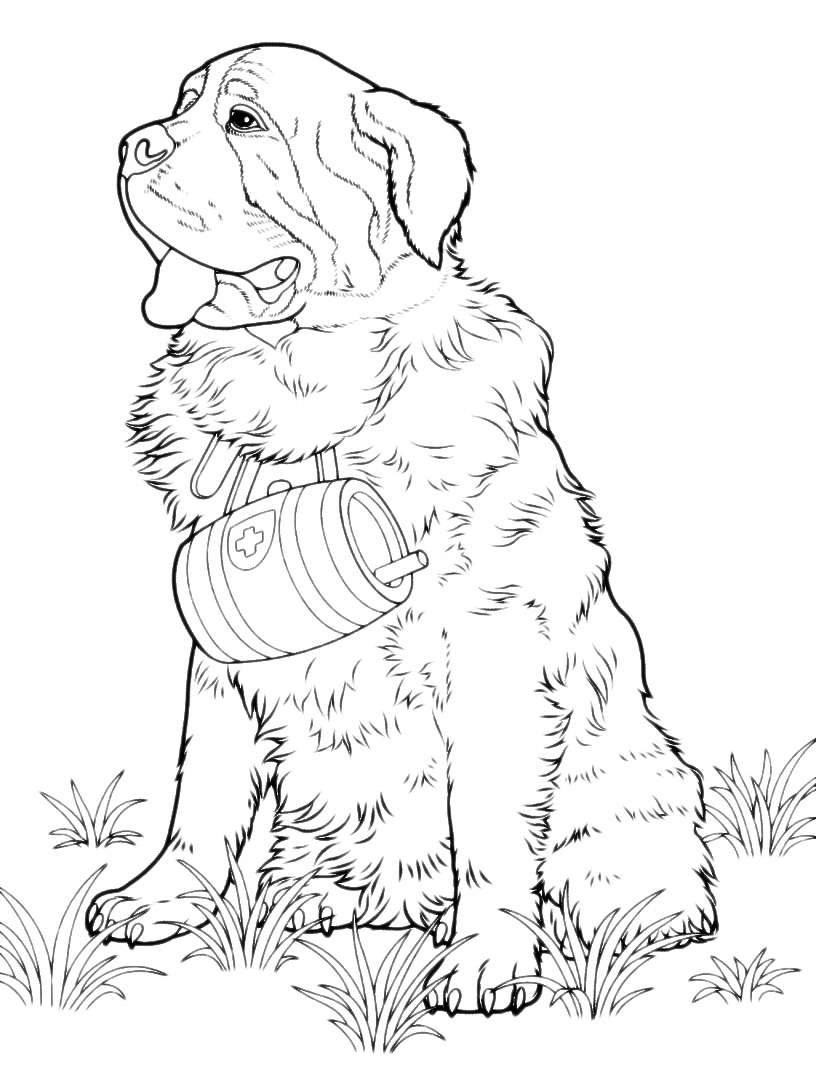 St Bernard With Barrel Coloring Page