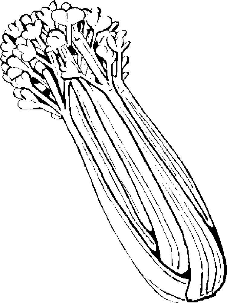 Celery Bunch Coloring Pages