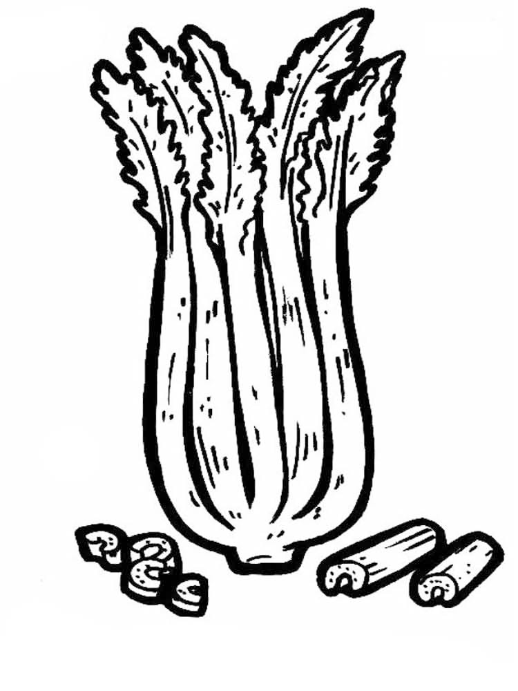 Celery Coloring Pages