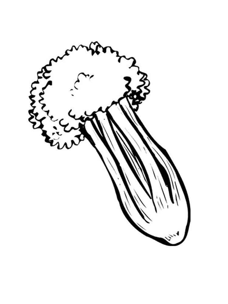 Easy Celery Coloring Pages