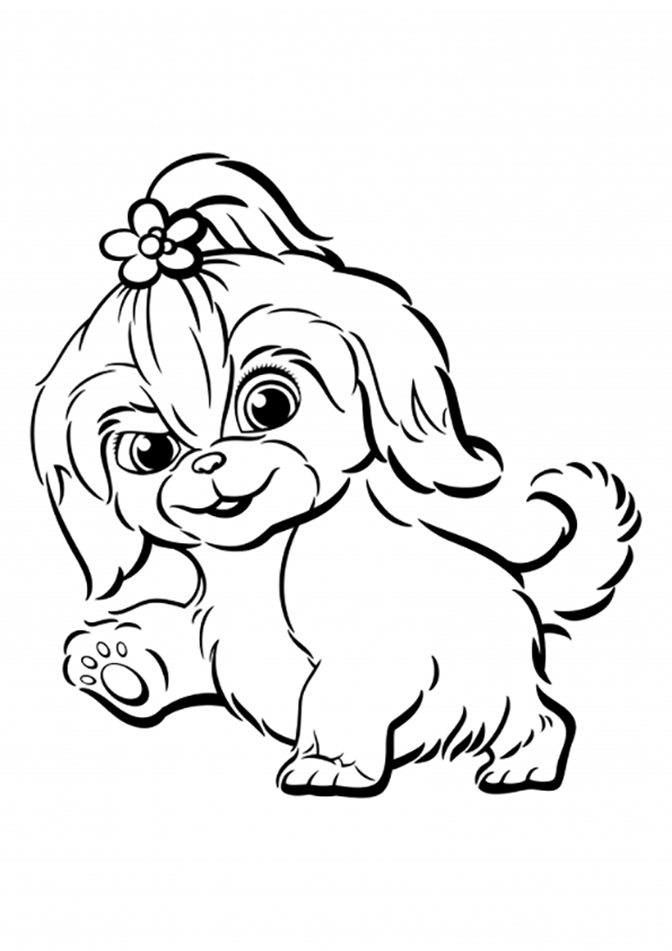 Shih Tzu Puppy Coloring Pages