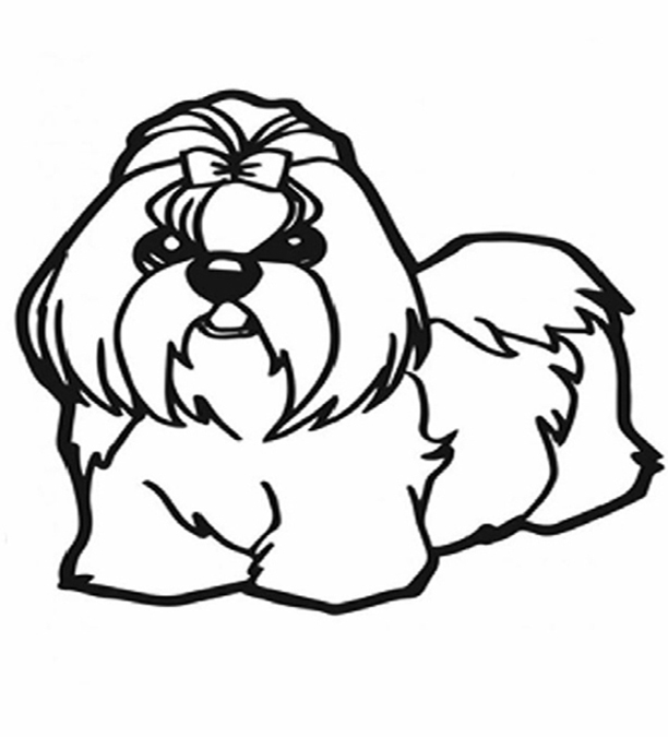 Shih Tzu With Bow Coloring Pages