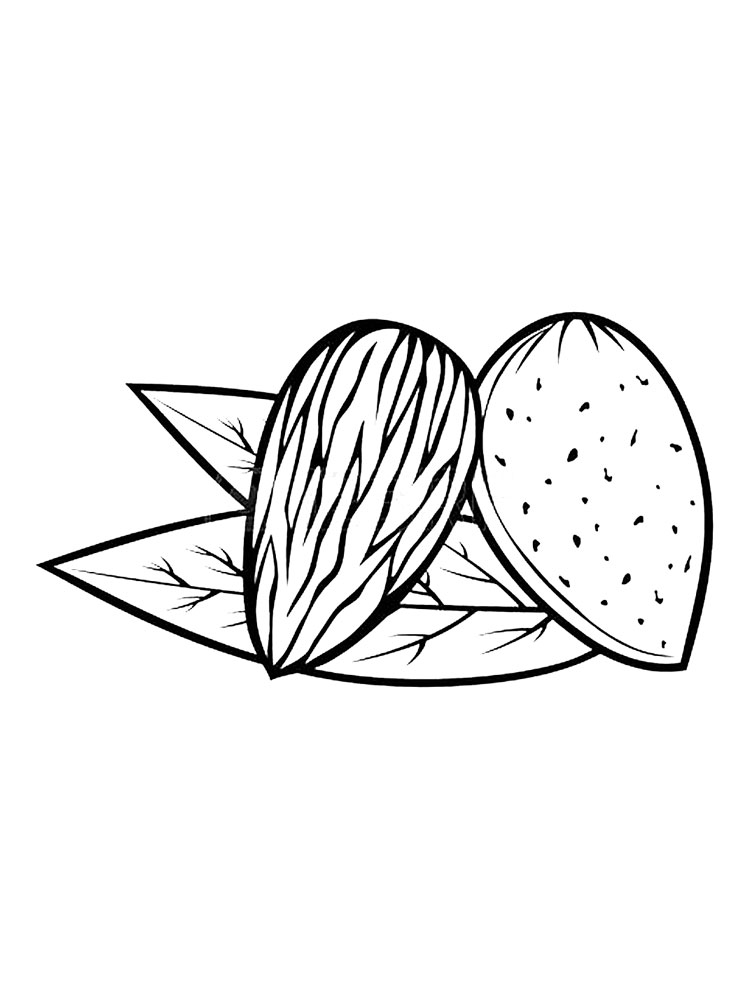 Almonds Coloring Page