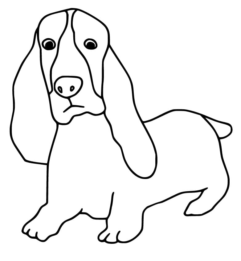 Basset Hound Line Art Coloring Pages