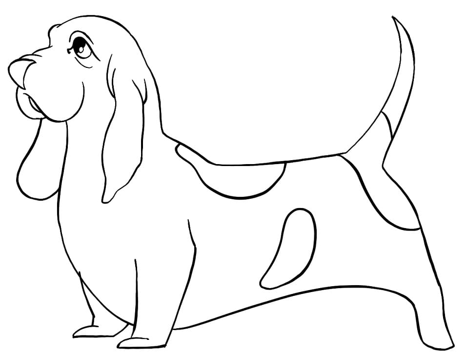 Basset Hound Profile Coloring Pages