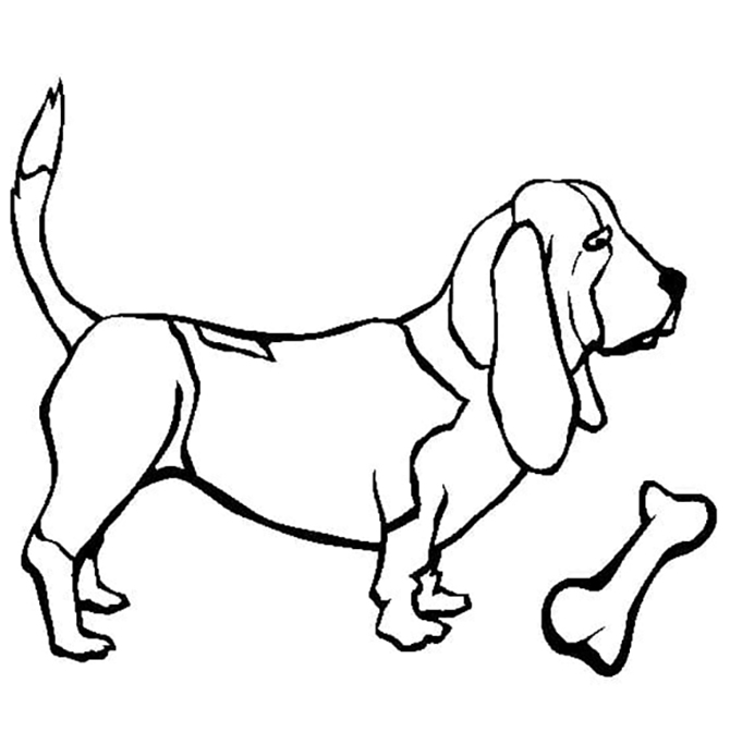 Basset Hound With A Bone Coloring Pages