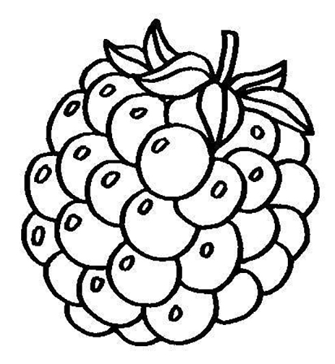 Blackberry Coloring Page