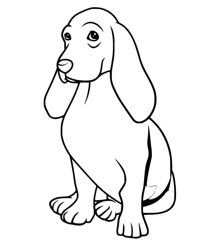 Cute Basset Hound Coloring Pages